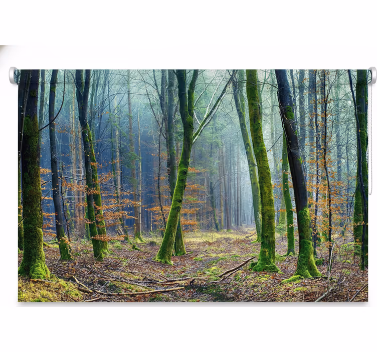 Persiana enrollable árboles bosque nublado japandi - TenVinilo