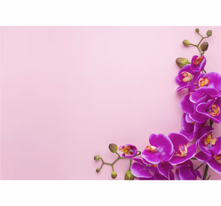 Persiana enrollable para cocina fondo rosa con orquídea - TenVinilo