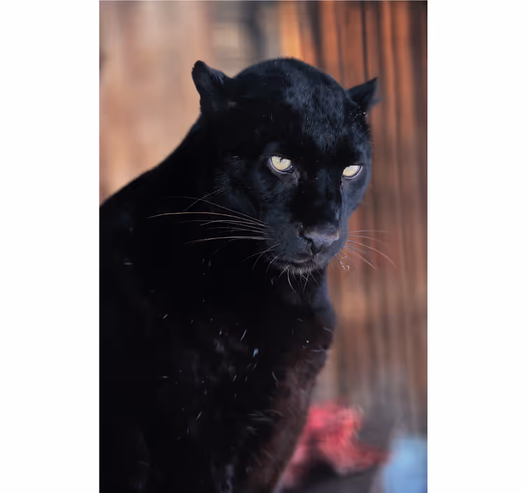 Persiana enrollable salón leopardo al acecho - TenVinilo
