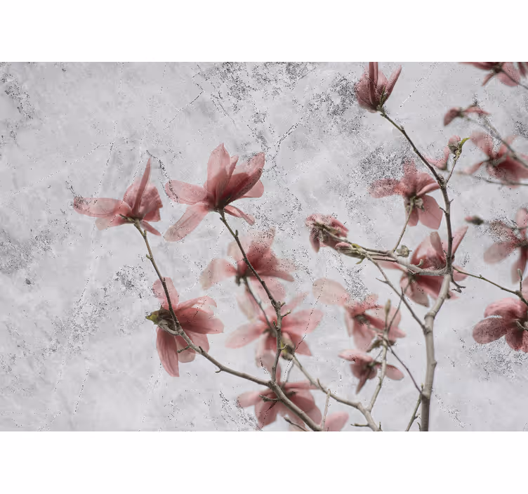 Persiana enrollable salón diseño magnolia elegante - TenVinilo