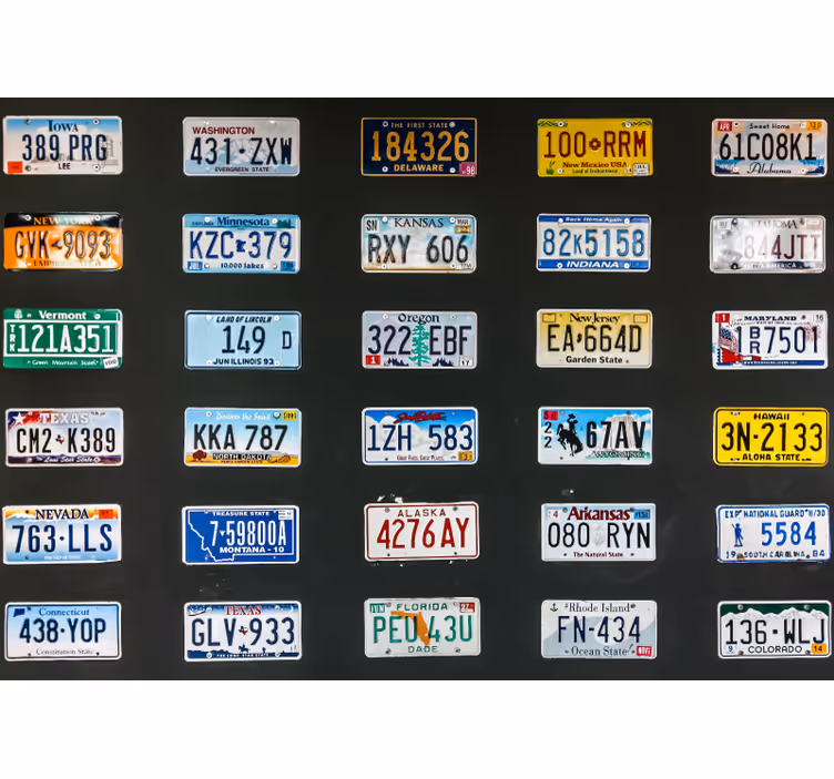 Persiana enrollable negra placas de matrícula - TenVinilo