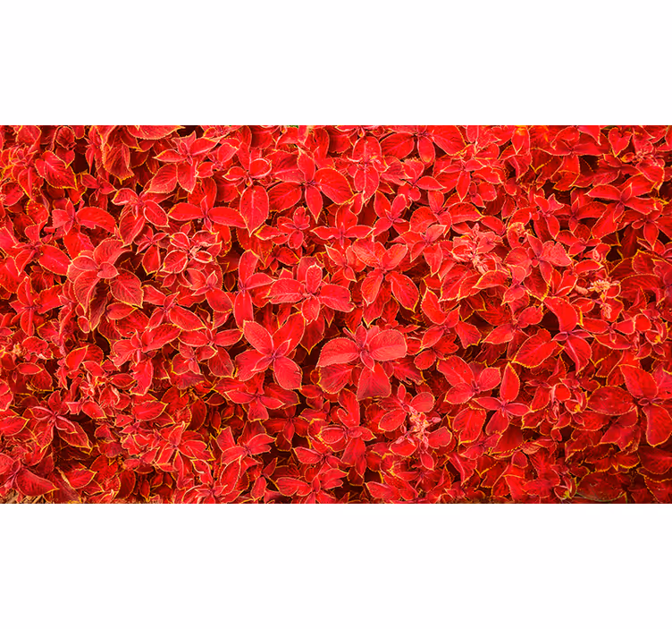 Persiana enrollable roja patrón de pétalos - TenVinilo