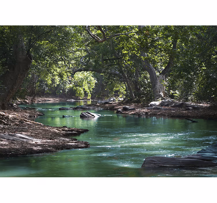 Persiana enrollable salón bosque y río - TenVinilo