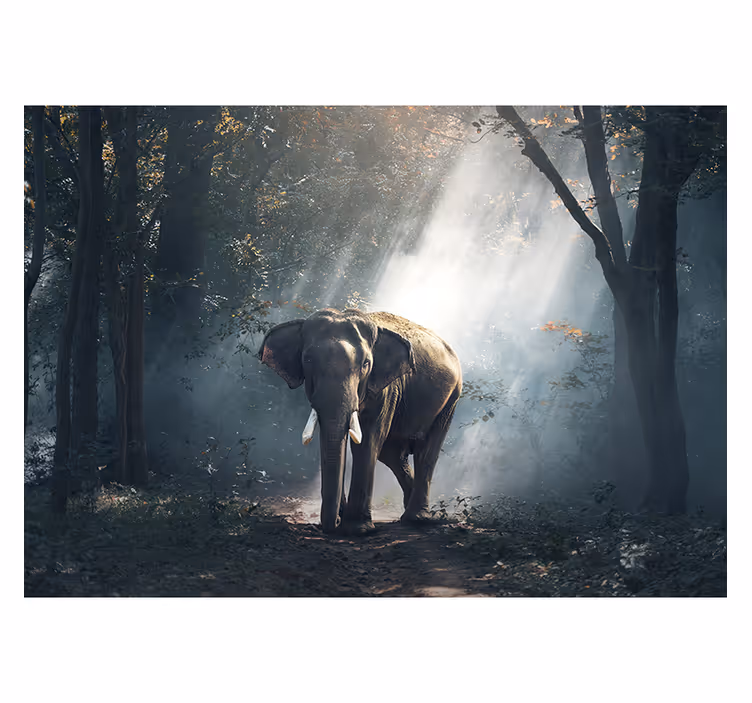Persiana enrollable salón elefante en el bosque - TenVinilo