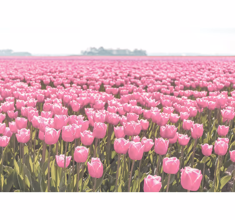 Persiana enrollable salón campo de tulipanes rosa - TenVinilo