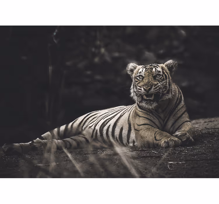 Persiana enrollable salón tigre tumbado - TenVinilo
