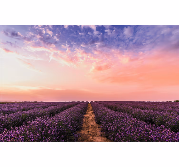 Persiana enrollable salón flores de lavanda en francia - TenVinilo