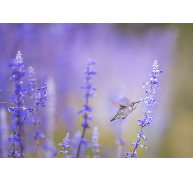 Persiana enrollable salón flores con pájaro - TenVinilo