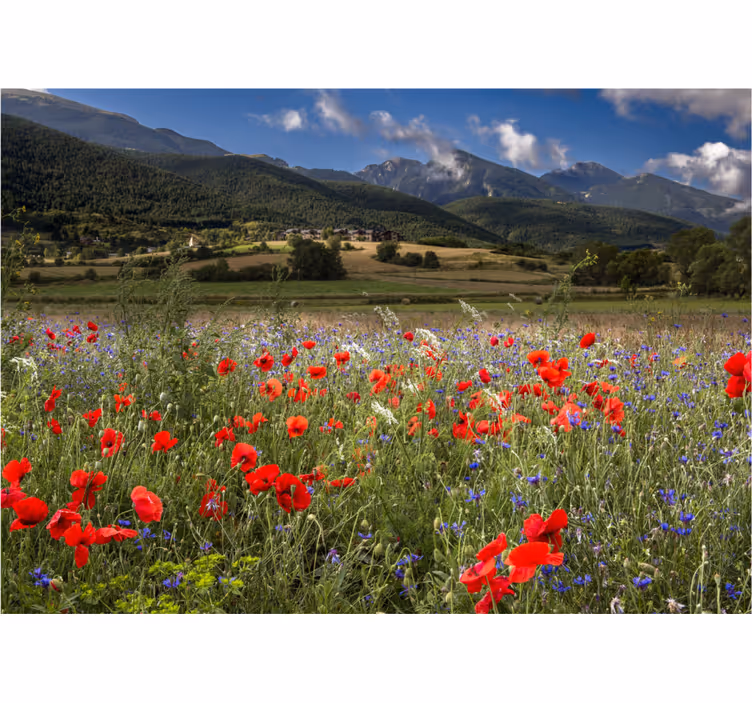Persiana enrollable salón campo de flores silvestres - TenVinilo