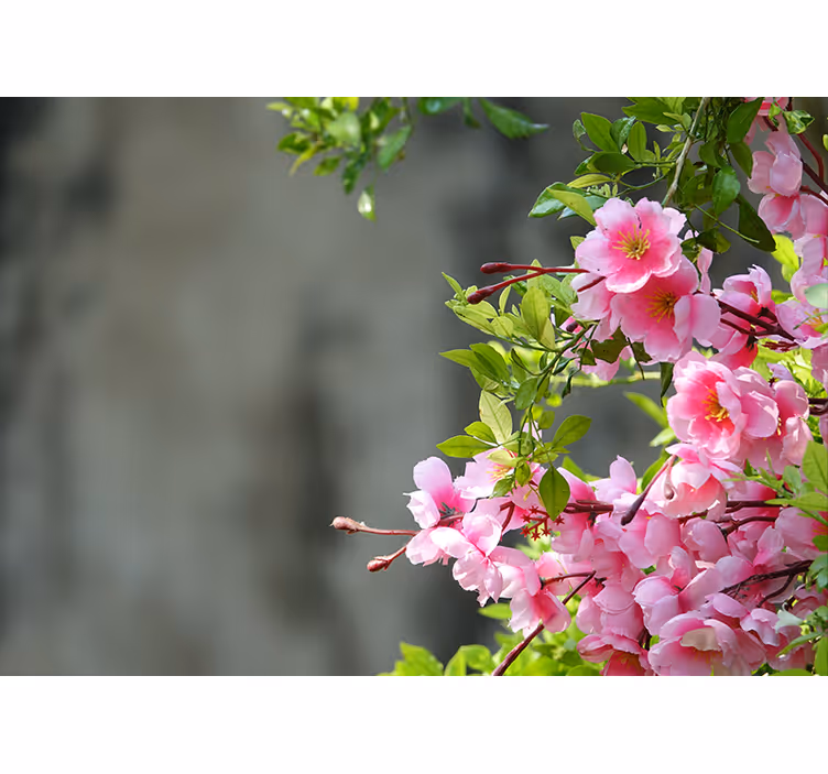 Persiana enrollable salón flores rosas 3d - TenVinilo