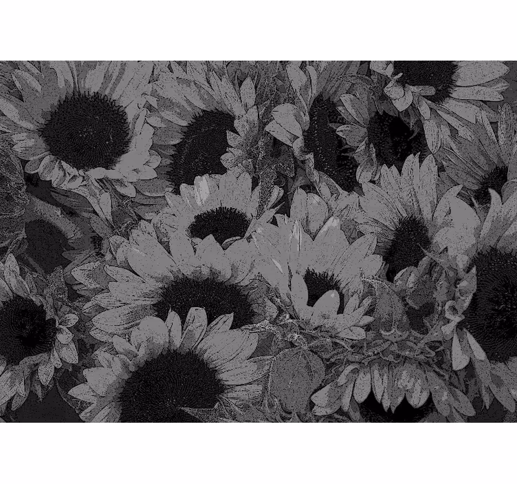 Persiana enrollable salón girasol blanco y negro - TenVinilo