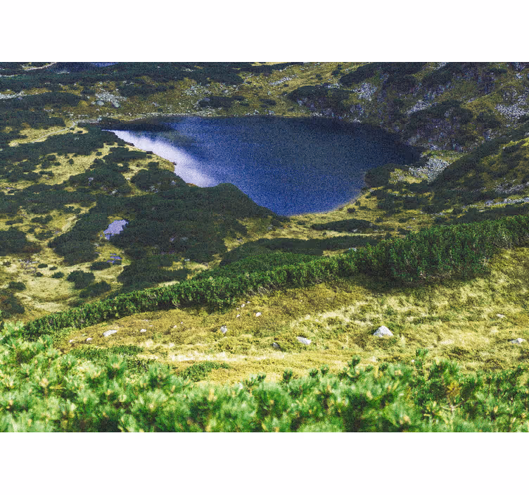 Persiana enrollable salón verde tatras polacos - TenVinilo