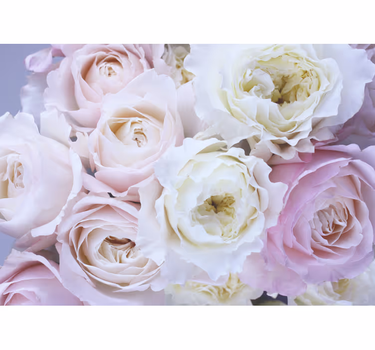 Persiana enrollable salón diferentes rosas de cerca - TenVinilo