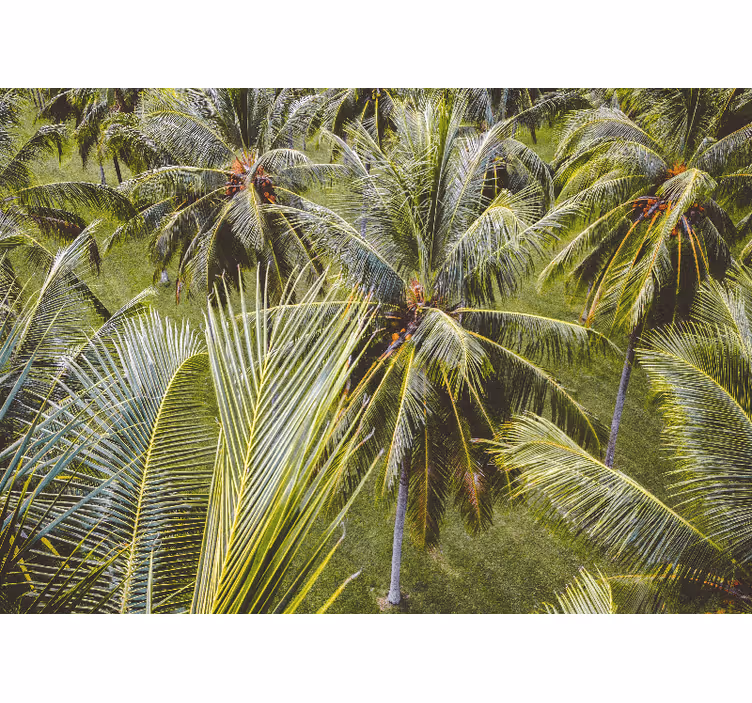 Persiana enrollable salón paisaje de selva con palmeras - TenVinilo