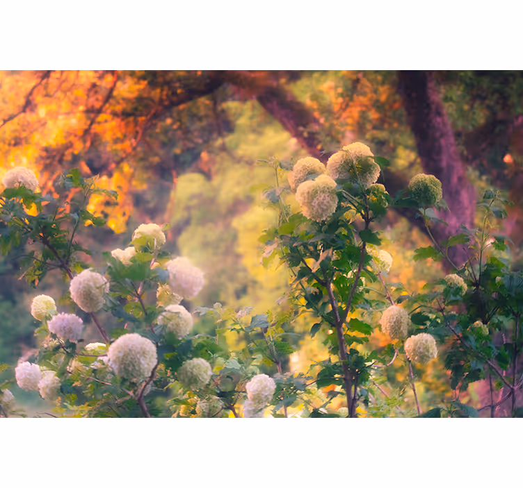 Persiana enrollable salón amanecer campestre - TenVinilo