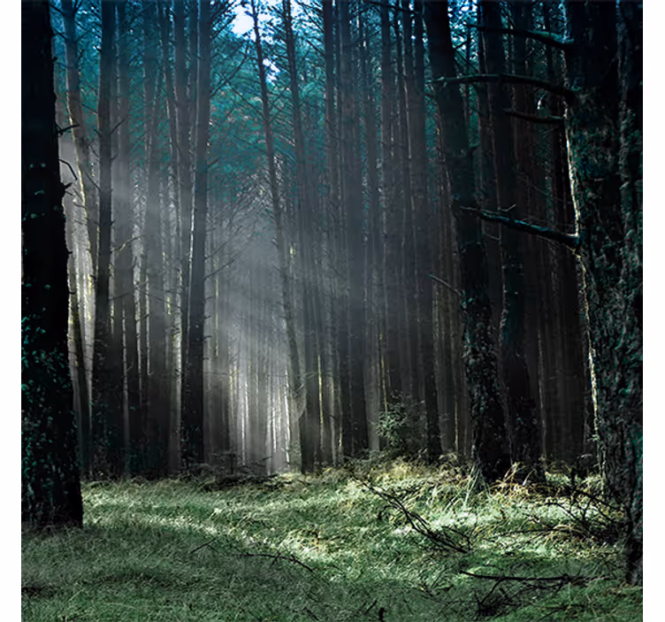 Persiana enrollable salón bosque de niebla azul - TenVinilo