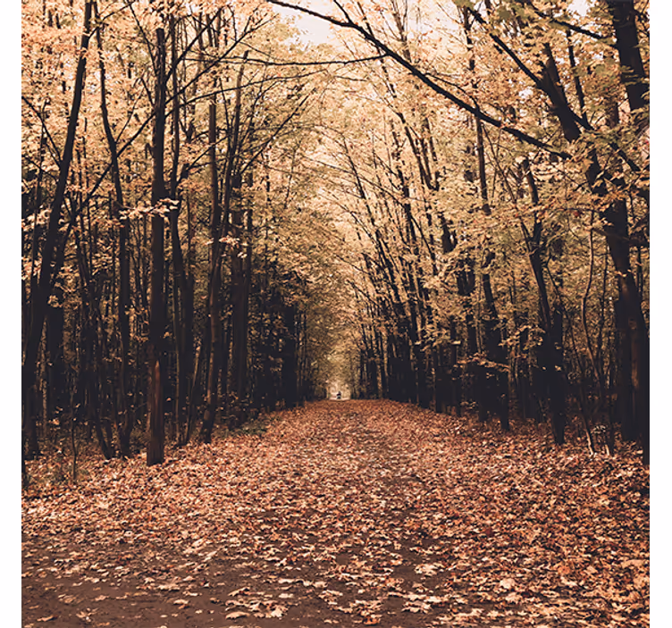 Persiana enrollable salón hermoso bosque en otoño - TenVinilo