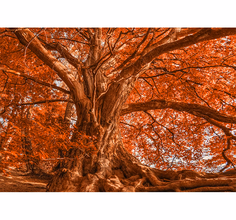 Persiana enrollable salón árbol hermoso de otoño - TenVinilo