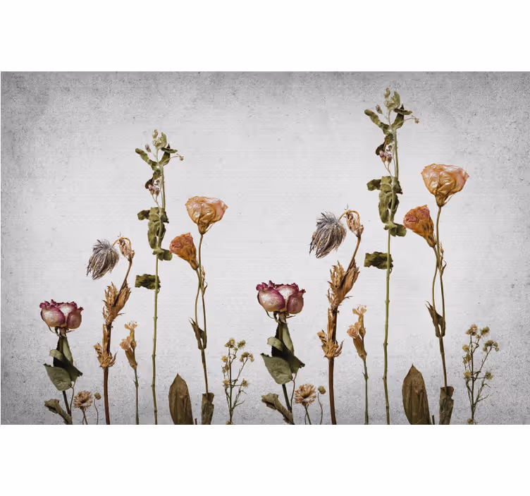 Persiana enrollable salón plantas secas estilo escandinavo - TenVinilo