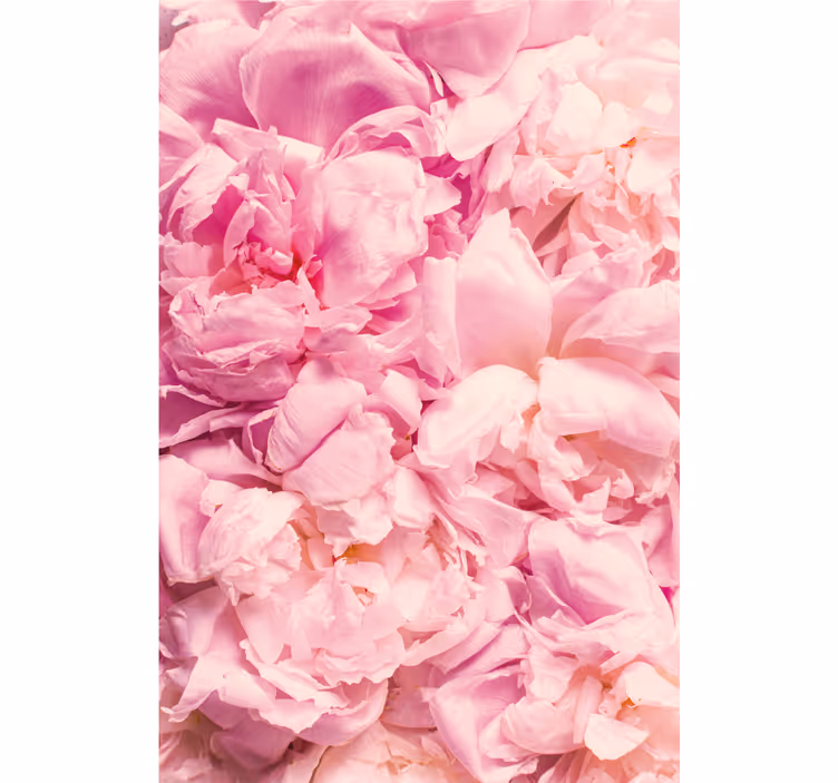 Persiana enrollable para cuarto flores peonía rosa realista - TenVinilo
