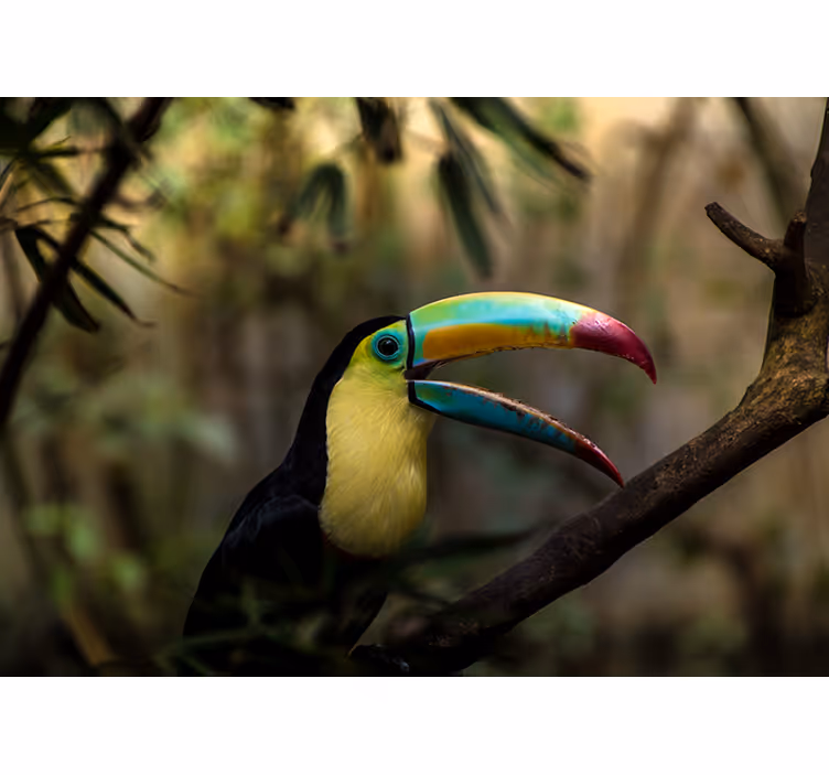 Persiana enrollable para cuarto tucán en la selva - TenVinilo