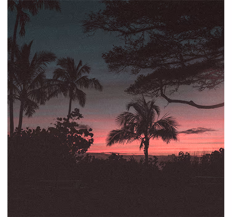 Persiana enrollable salón árboles cielo rosa atardecer - TenVinilo
