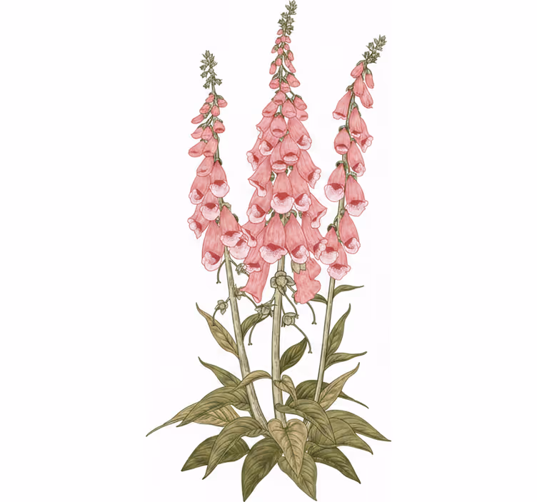 Persiana enrollable salón flores rosas - TenVinilo