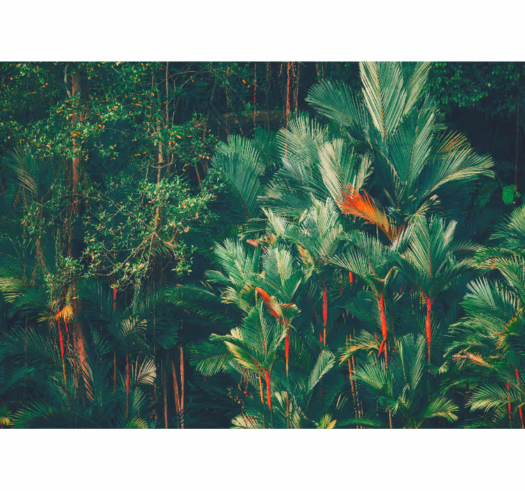 Persiana enrollable para cuarto amanecer en la selva - TenVinilo