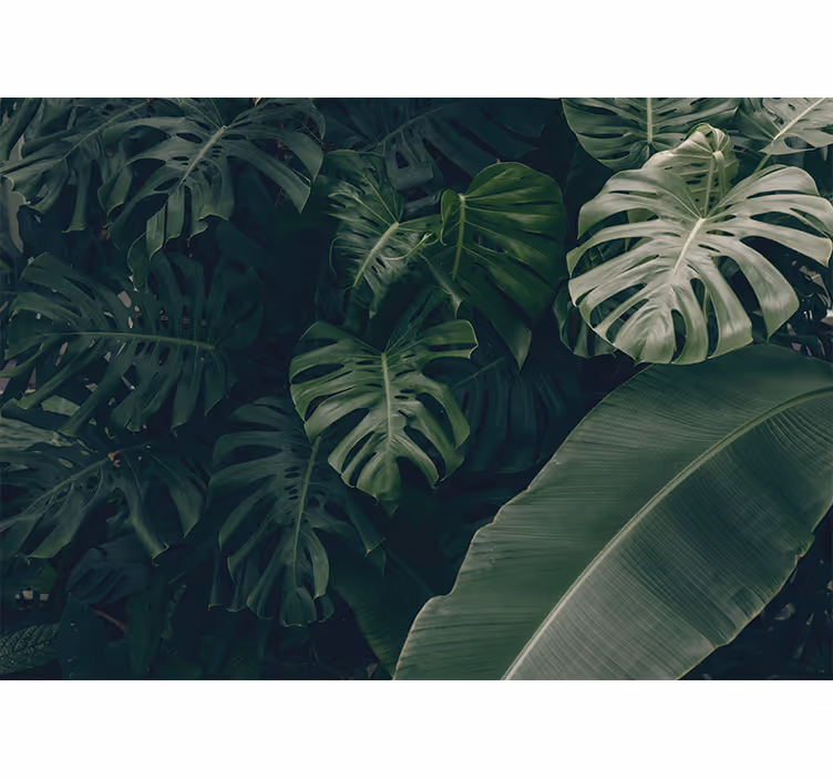Persiana enrollable para cuarto selva verde hermosa - TenVinilo
