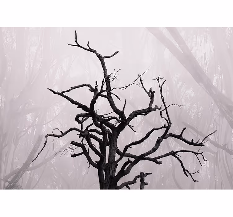 Persiana enrollable para cuarto ramas de bosque neblinosas - TenVinilo
