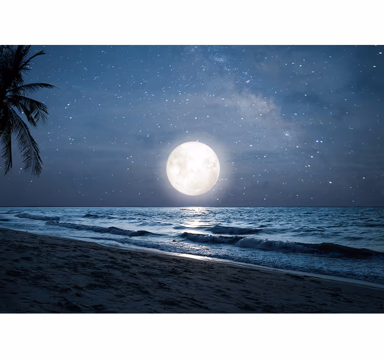 Persiana enrollable para cuarto luz de luna hermosa - TenVinilo