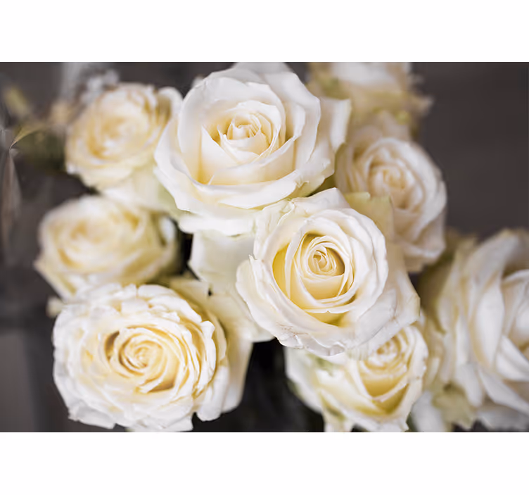 Persiana enrollable blanca fondo de rosas blancas - TenVinilo