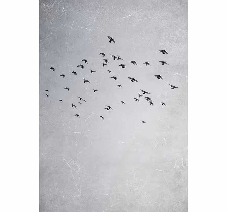 Persiana enrollable para cuarto aves volando - TenVinilo