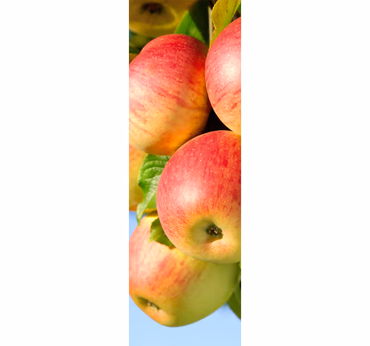 Persiana enrollable para cocina manzanas en árbol - TenVinilo
