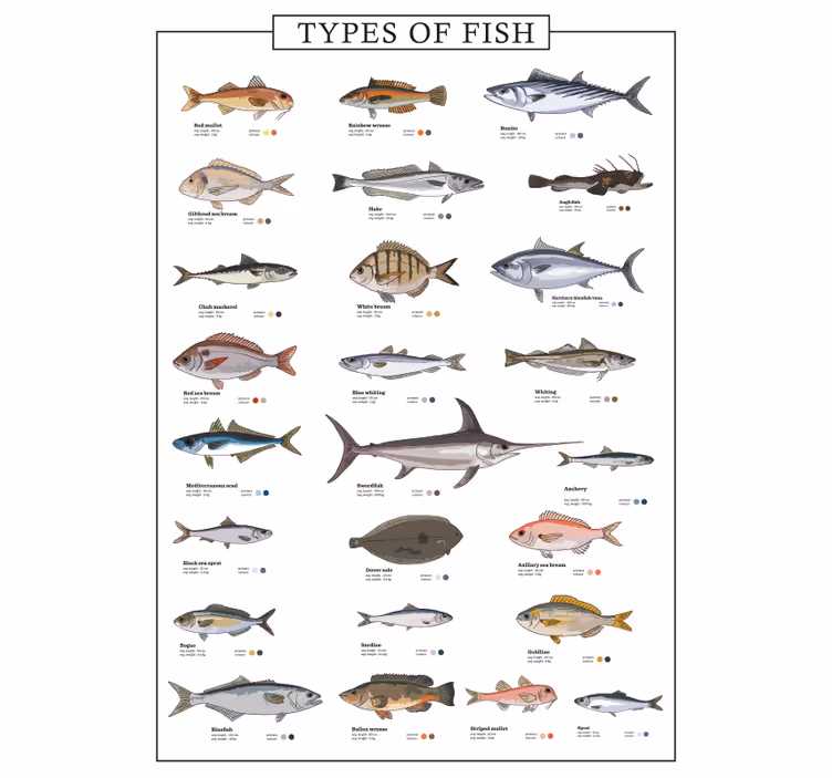 Persiana enrollable para cocina peces - TenVinilo