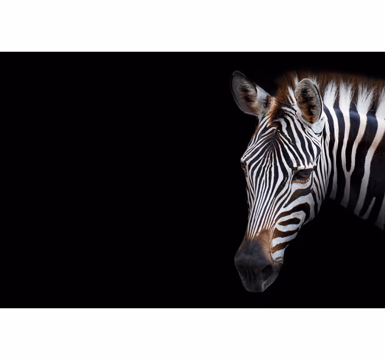 Persiana enrollable negra zebra imagen - TenVinilo