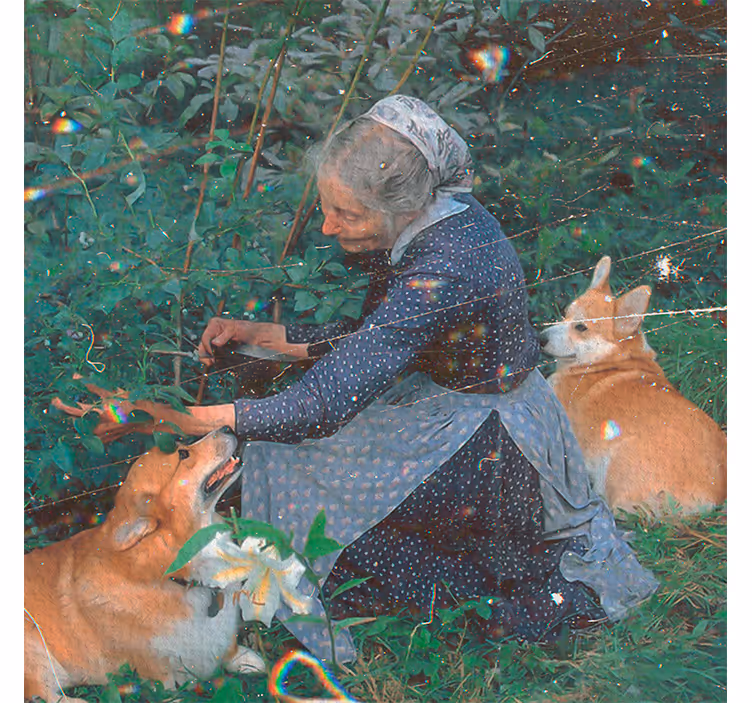 Persiana enrollable salón abuela con perros jardín - TenVinilo