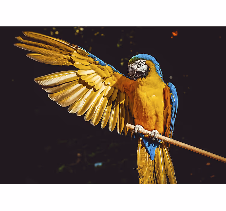 Persiana enrollable para cuarto aves tropicales - TenVinilo