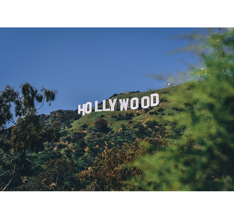 Persiana enrollable para cuarto cartel de hollywood - TenVinilo