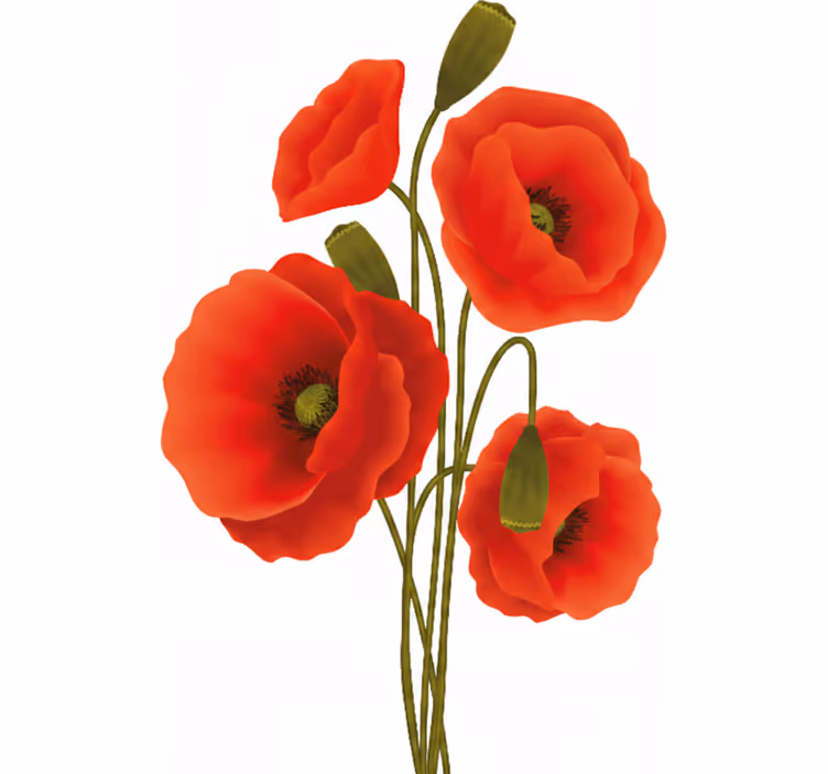 Persiana enrollable floral amapolas - TenVinilo
