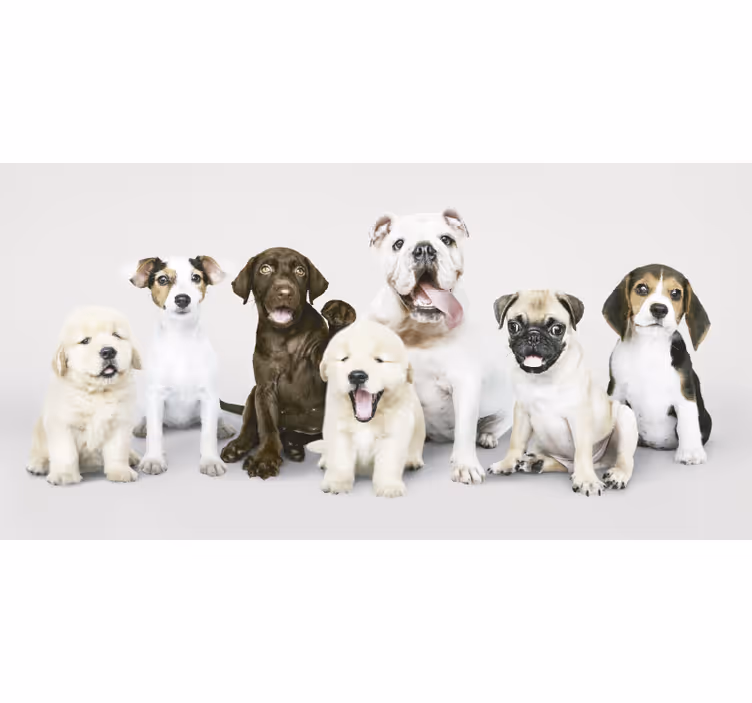 Persiana enrollable animales fotografía perros cachorros - TenVinilo