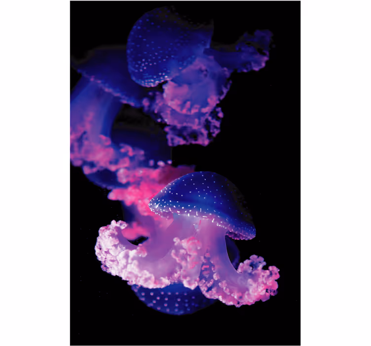 Persiana enrollable para baño medusa morada - TenVinilo