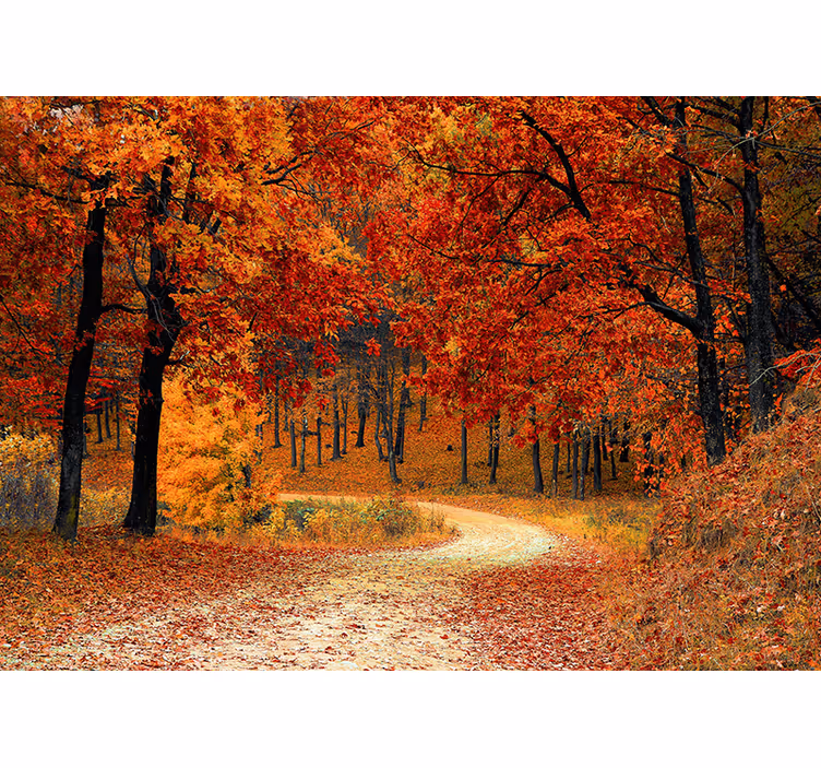 Persiana enrollable naranja papel pintado - Árboles de otoño - TenVinilo