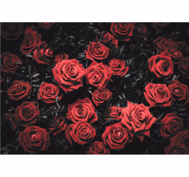 Persiana enrollable roja blanco y negro con rosas rojas - TenVinilo