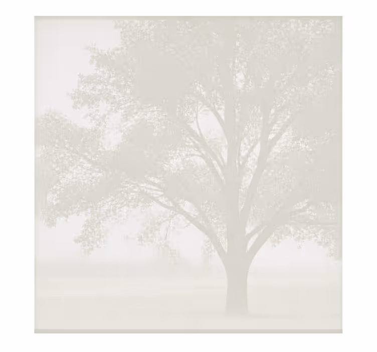 Persiana enrollable blanca screen - TenVinilo