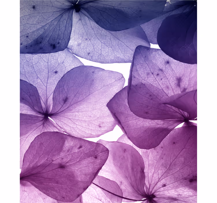 Persiana enrollable morada floral feliz y serena - TenVinilo