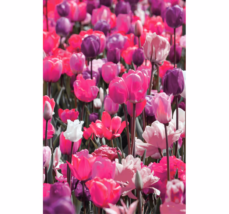 Persiana enrollable flores tulipanes morados - TenVinilo