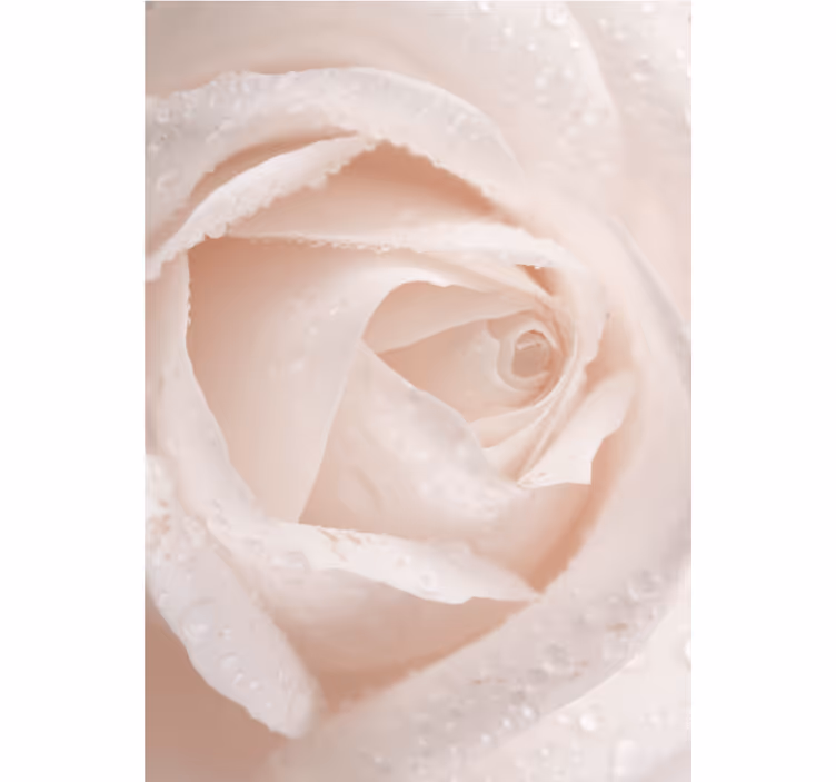 Persiana enrollable floral delicado pétalo de rosa - TenVinilo