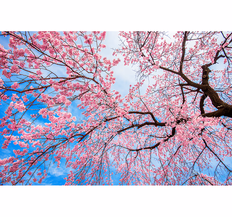 Persiana enrollable flores rama de sakura - TenVinilo