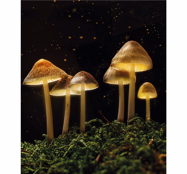 Persiana enrollable hongos brillantes en la naturaleza - TenVinilo